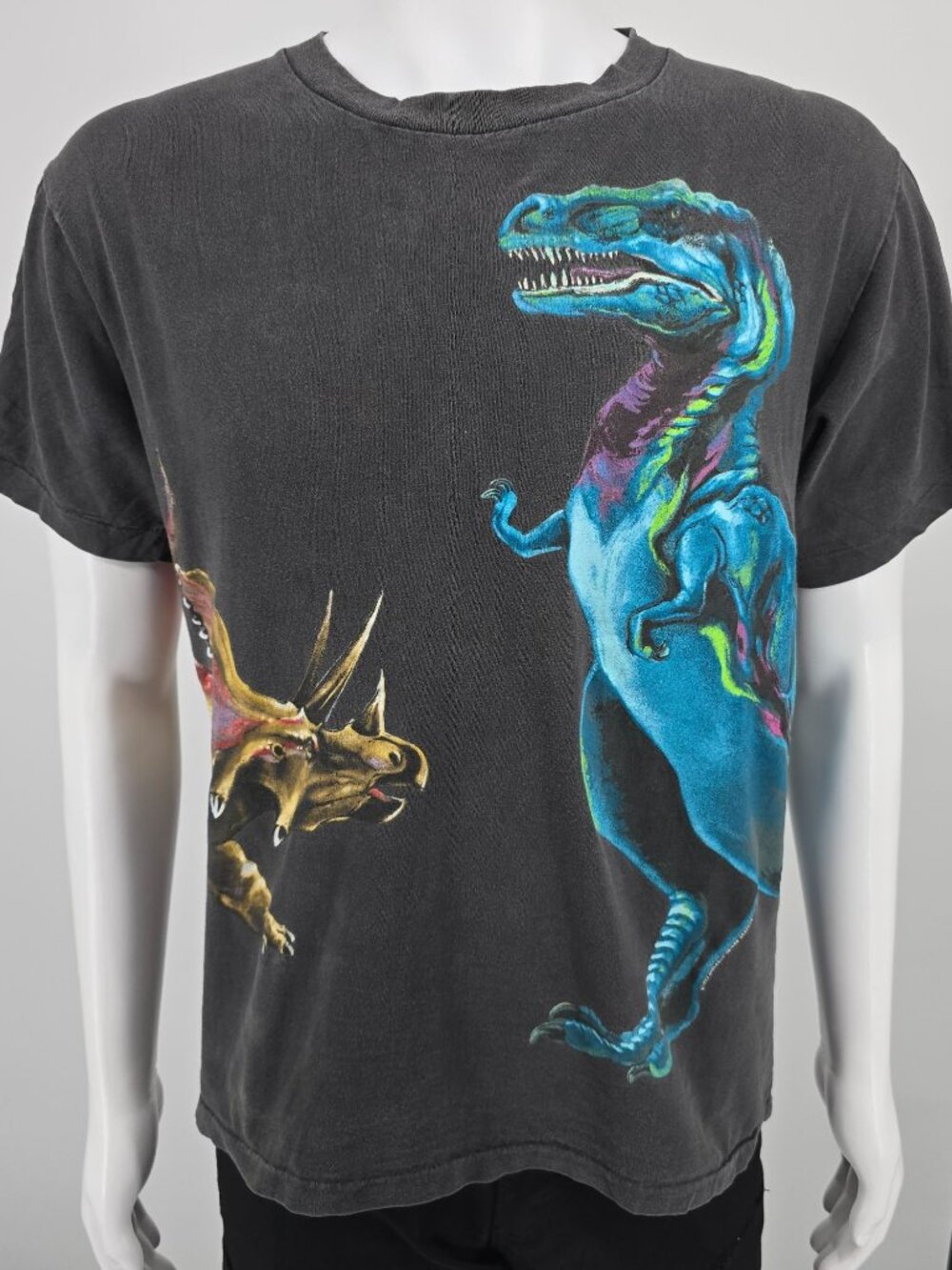 Vintage 1990s Harlequin Nature Graphics Dinosaur Wraparound Graphic T-Shirt (L)